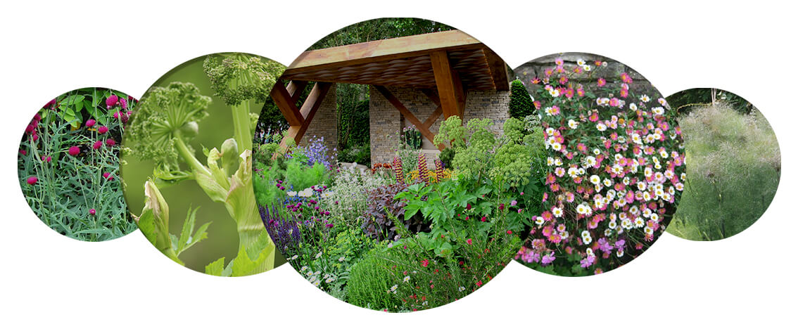 The Morgan Stanley Garden at the RHS Chelsea Flower Show 2017 was designed by Chris Beardshaw and it's patterns were inspired by music and art. The garden contains a woodland, a terrace bursting with brightly coloured perennials and an oak and limestone pavilion. The patterns were inspired by music and art.