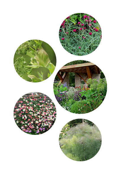 The Morgan Stanley Garden at the RHS Chelsea Flower Show 2017 was designed by Chris Beardshaw and it's patterns were inspired by music and art. The garden contains a woodland, a terrace bursting with brightly coloured perennials and an oak and limestone pavilion. The patterns were inspired by music and art.